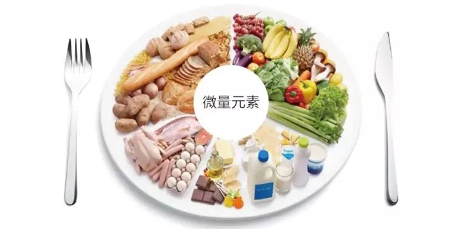 环境营养研究